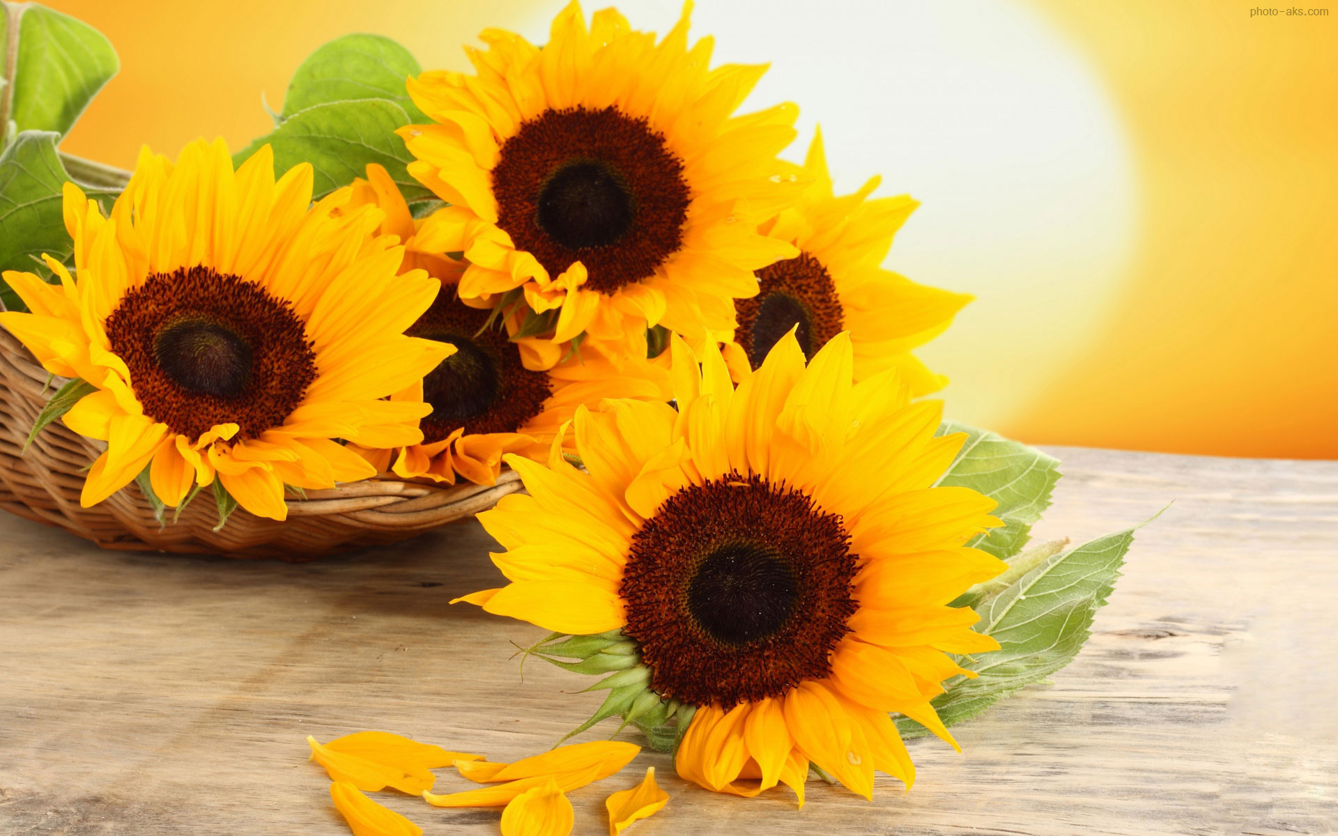 sunflowers-basket