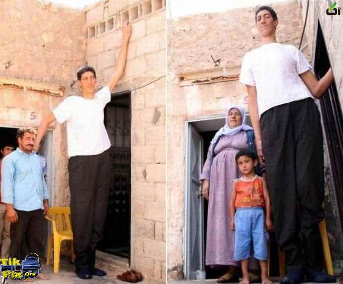 قدبلندترین مرد , بلند قد ترین انسانهای دنیا 