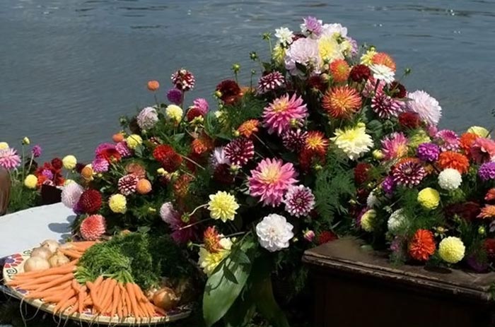 تصاویر بازار شناور گل و میوه در هلند,عکس بازار گل محلاتی,عکس بازار گل