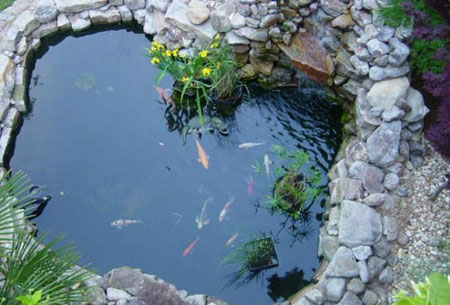 ,نگهداری ماهی, راههای نگهداری از ماهی ها, نگهداری ماهی داخل حوض,گل و گیاهان آپارتمانی