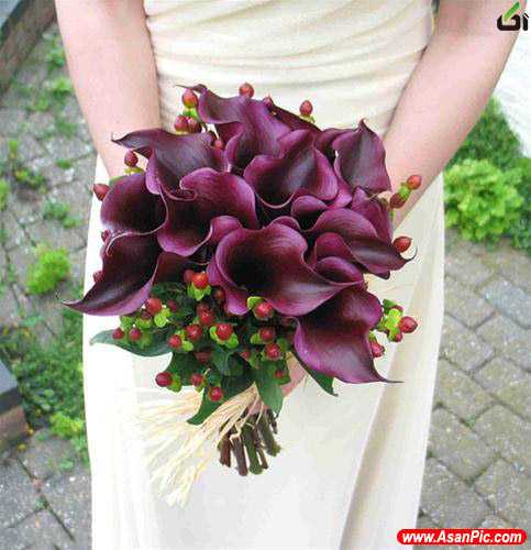 دسته گل,دسته گل عروس,مدل دسته گل عروس