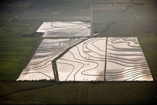 تصاویر هوایی دیدنی از مزارع کشاورزی ,مزارع کشاورزی,تصاویر هوایی,عکس های طبیعت