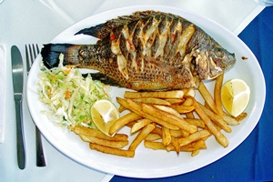 ماهی تیلاپیا و بدنسازی 