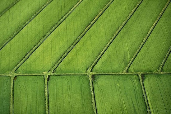 تصاویر هوایی دیدنی از مزارع کشاورزی ,مزارع کشاورزی,تصاویر هوایی,عکس های طبیعت