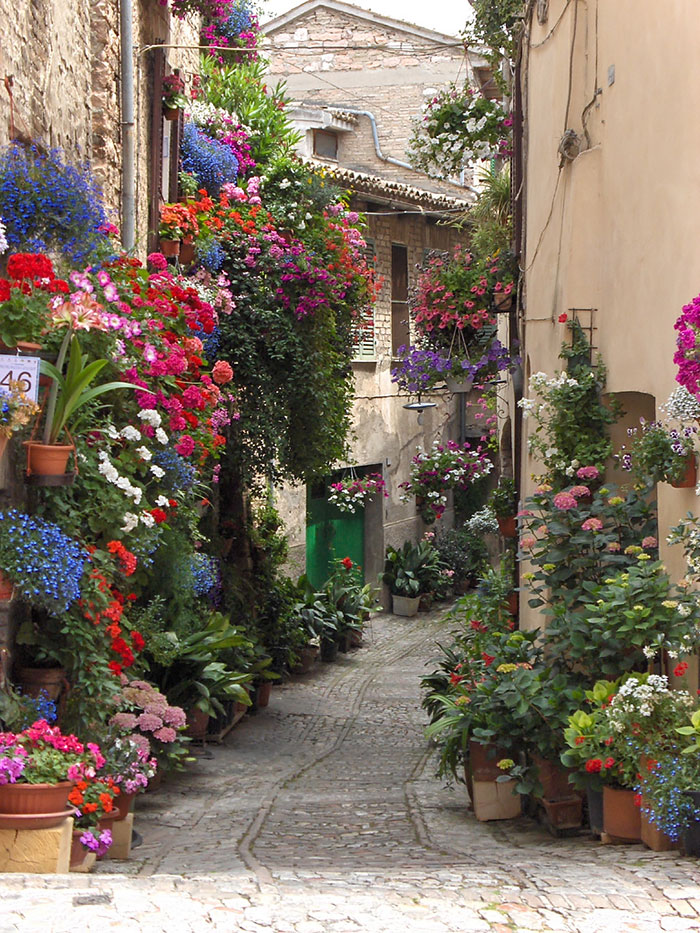 ,خیابان جادویی پوشیده از گل ها,خیابانهای زیبا و دیدنی جهان,زیباترین خیابان های دنیا,[categoriy]