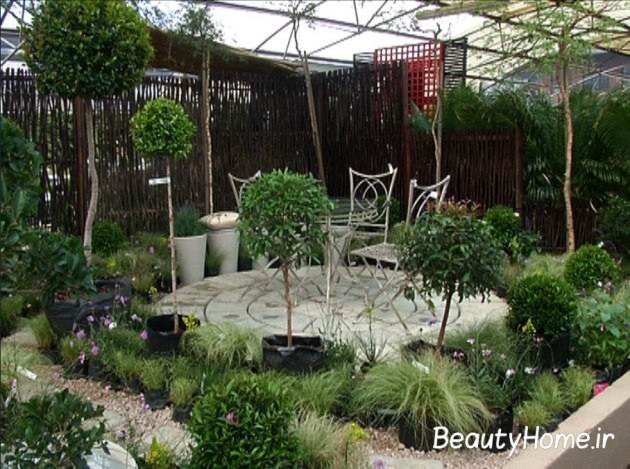 طراحی باغچه حیاط با درختان