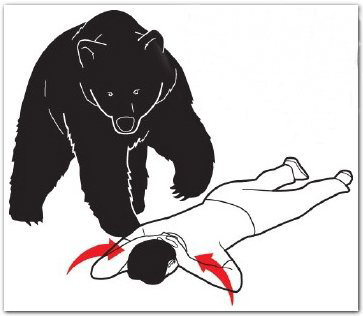 مقابله با خرس , برخورد با خرس , راههای مقابله با خرس 