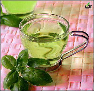 نقش چای سبز در چربی سوزی 