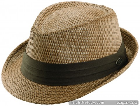 MS248 BROWN 3Q 480x365 مدل کلاه های تابستانی مردانه۲۰۱۳