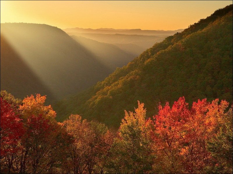 زیبایی وصف ناپذیر فصل پاییز91|www.shadifun.com