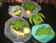 ,میوه, میوه های رنگ شده, میوه های چسبناک,بهداشت و نگهداری مواد غذایی، نگهداری مواد غذایی در فریزر