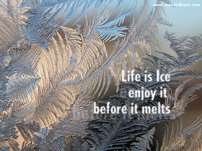 Life=Ice