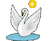 swan  animations