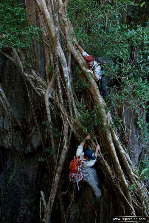 تصاویری از جنگل سنگی در ماداگاسکار - آکا