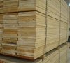 دربهای HDF مرکز تولید انواع درب چوبی ساختمان از قبیل : HDF - CNC - ABS - MDF - HPL  ضد آب و ضد سرقت وارداتی و تولید داخل