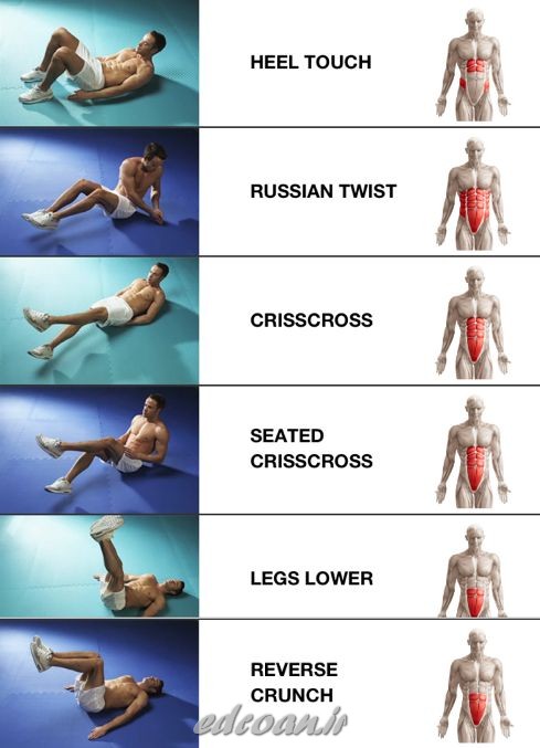 ,چرا با انجام ۱۰۰۰ دراز و نشست در روز هم نمی توان به عضلات شش تکه شکمی رسید,چطور به عضلاتی کامل و بی  نقص در ناحیه شکم رسیده ام,عضلاتی کامل و بی  نقص در ناحیه شکم,[categoriy]