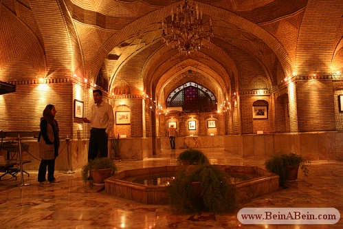 پنجمین جشنواره روز یوز در کاخ گلستان - محمد گائینی