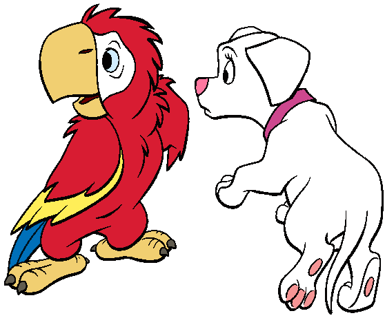 Dálmata e Papagaio