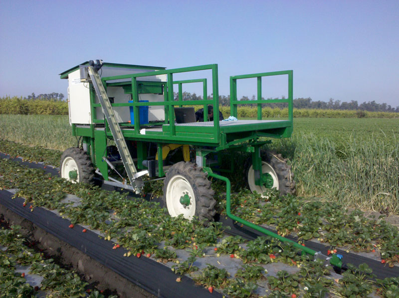 روبات برداشت توت فرنگی (Robotic Strawberry Harvester)