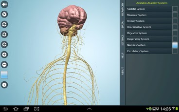دانلود نرم افزار آناتومی بدن انسان برای موبایل