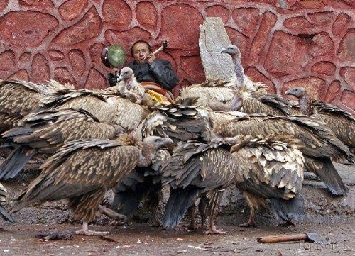 عکس های عجیب,عجیب ترین مراسم تدفین در دنیا +عکس تبت,مراسم تدفین,عجیب ترین