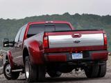 Ford Super Duty - Rear Angle, 2015, 36 of 51