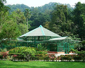 penang-Botanic-garden2.jpg