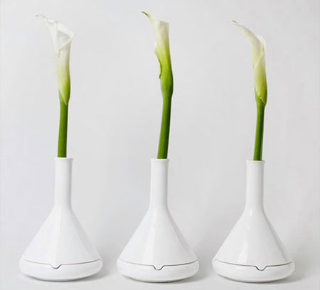 مدل گلدان, ایده هایی برای گلدان, جدیدترین مدل گلدان,گل و گیاهان آپارتمانی