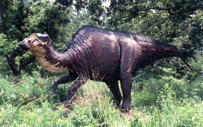 عکس دایناسورها 