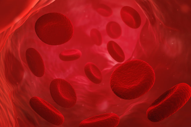 اخبار پزشکی  ,خبرهای  پزشکی ,جوانسازی سلول‌های بنیادی خون‌ساز