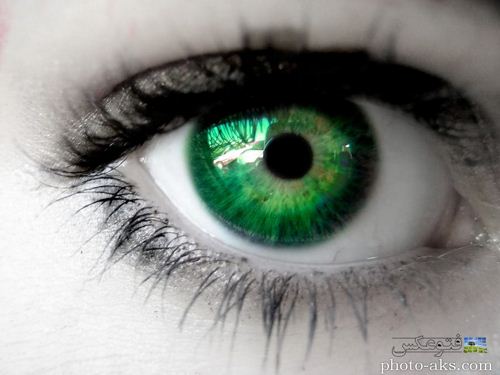 عکس زیباترین چشم سبز