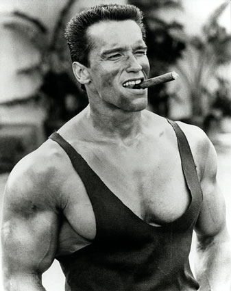 Arnold-Schwarzenegger-commando.jpg