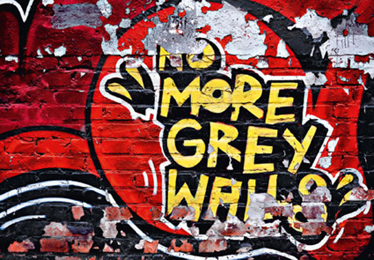 no-more-grey-walls1.jpg