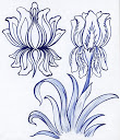 گل ختايي زنبق زنبقي طراحي تزئيني طرح زينتي با خودکار اثر نقاش سيد امين نبيپور iris flower flora khatai khataei