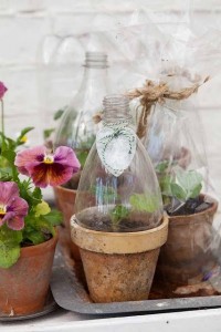 ایده های ساده برای تزیین گلدان های ساده 