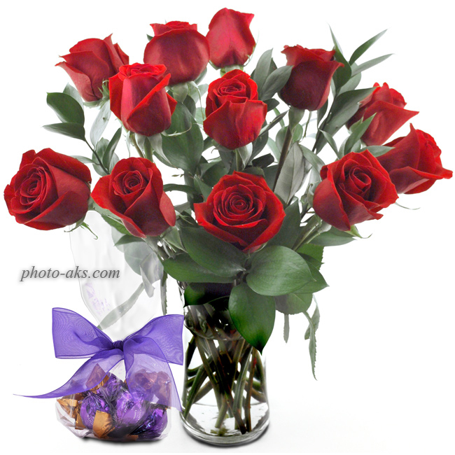 http://pic.photo-aks.com/photo/nature/flowers/rose/large/red-roses(photo-aks.com).jpg
