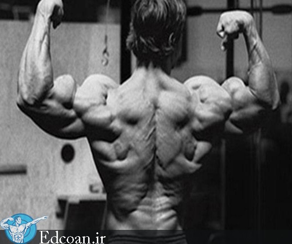 ,برنامه تمرینی آرنولد برای ساختن عضلات پشت,برنامه تمرینی آرنولد,ساختن عضلات پشت,[categoriy]