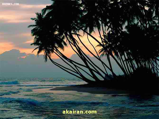 کشور زیبای سریلانکا یک