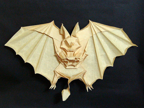 Vampire  bat
