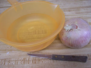 Onion1 سفره آرایی با پیاز