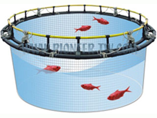 پرورش ماهی در قفس