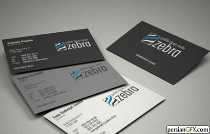 10-zebra-logo-and-card.jpg