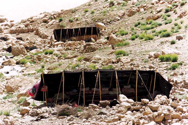 Outlook of a Qashqaie Tribe Tent