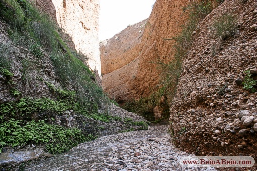 غار زينگان ايلام - محمد گائینی