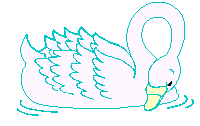 swan  animations