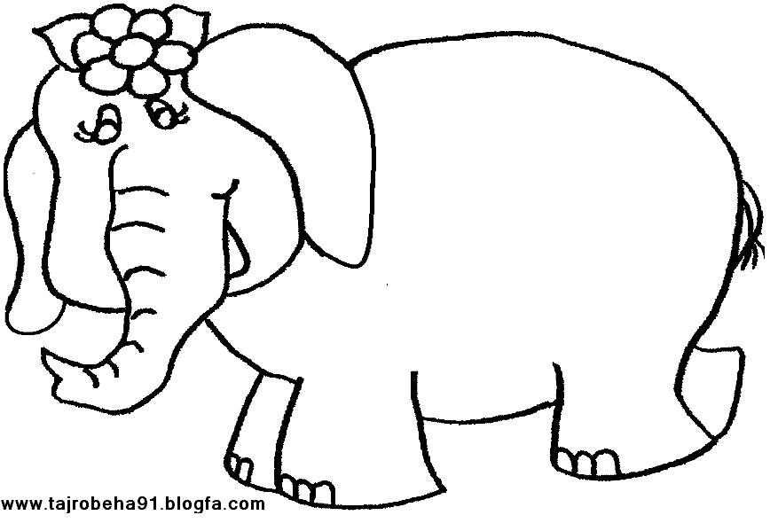 الگوی کارت آموزه سوره فیل