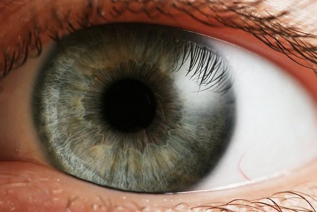 چه چیزهایی برای تقویت چشم خوب است , پلستیشن چشممان سالم بماند 
