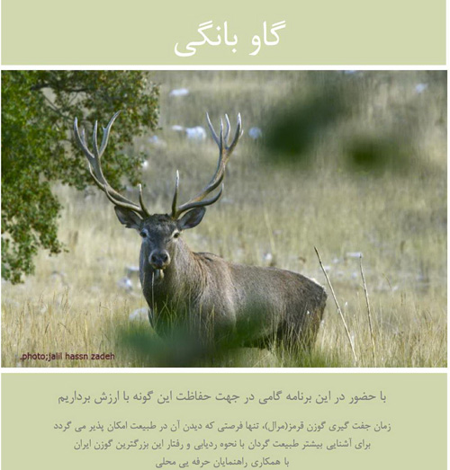 ثبت نام سفر گاوبانگی در پارک ملی گلستان 92