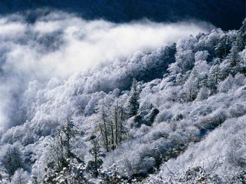 جدید ترین تصاویر طبیعت در زمستان 