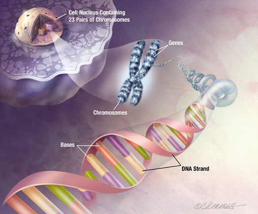 genetic-engineering.jpg